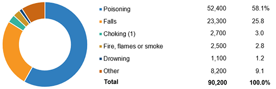 Principal Types Of Home Unintentional Injury Deaths, 2017