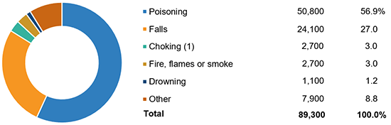 Principal Types Of Home Unintentional Injury Deaths, 2018