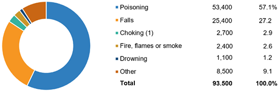 Principal Types Of Home Unintentional Injury Deaths, 2019